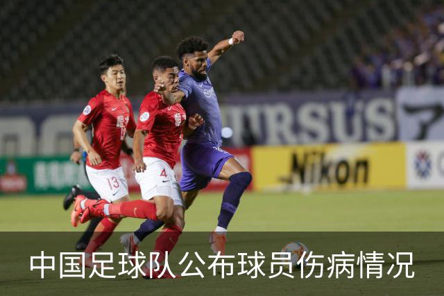 中国足球队公布球员伤病情况